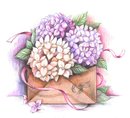 Послание (скетч для раскрашивания)