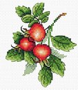 Спелый шиповник (11*10 см)
