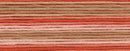 8043 мулине Cosmo меланж Seasons