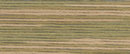 5011 мулине Cosmo меланж Seasons