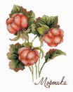 Дары природы. Морошка (12*17 см)