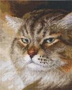 Бывалый (16*20 см)