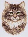 Сибирская кошка (БАРХАТНАЯ / с БАРХАТНЫМ эффектом) (28*21 см)