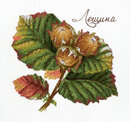 Дары природы. Лещина (13*13 см)
