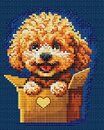 Сюрприз для тебя (в коробке) (10*13 см)